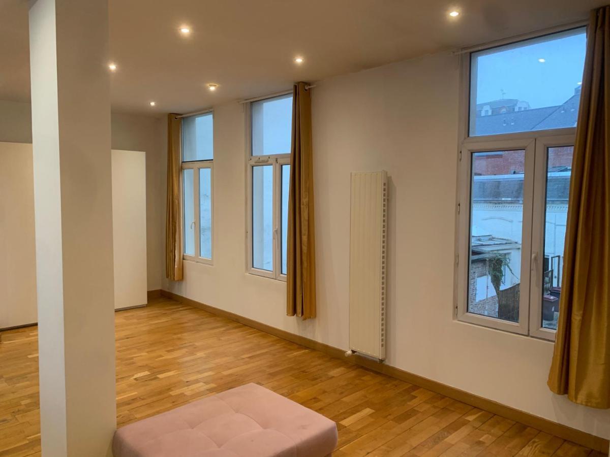Spacieux 100 M2 Pour 7 Personnes En Plein Centre-Ville Lille Ngoại thất bức ảnh